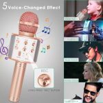 mic